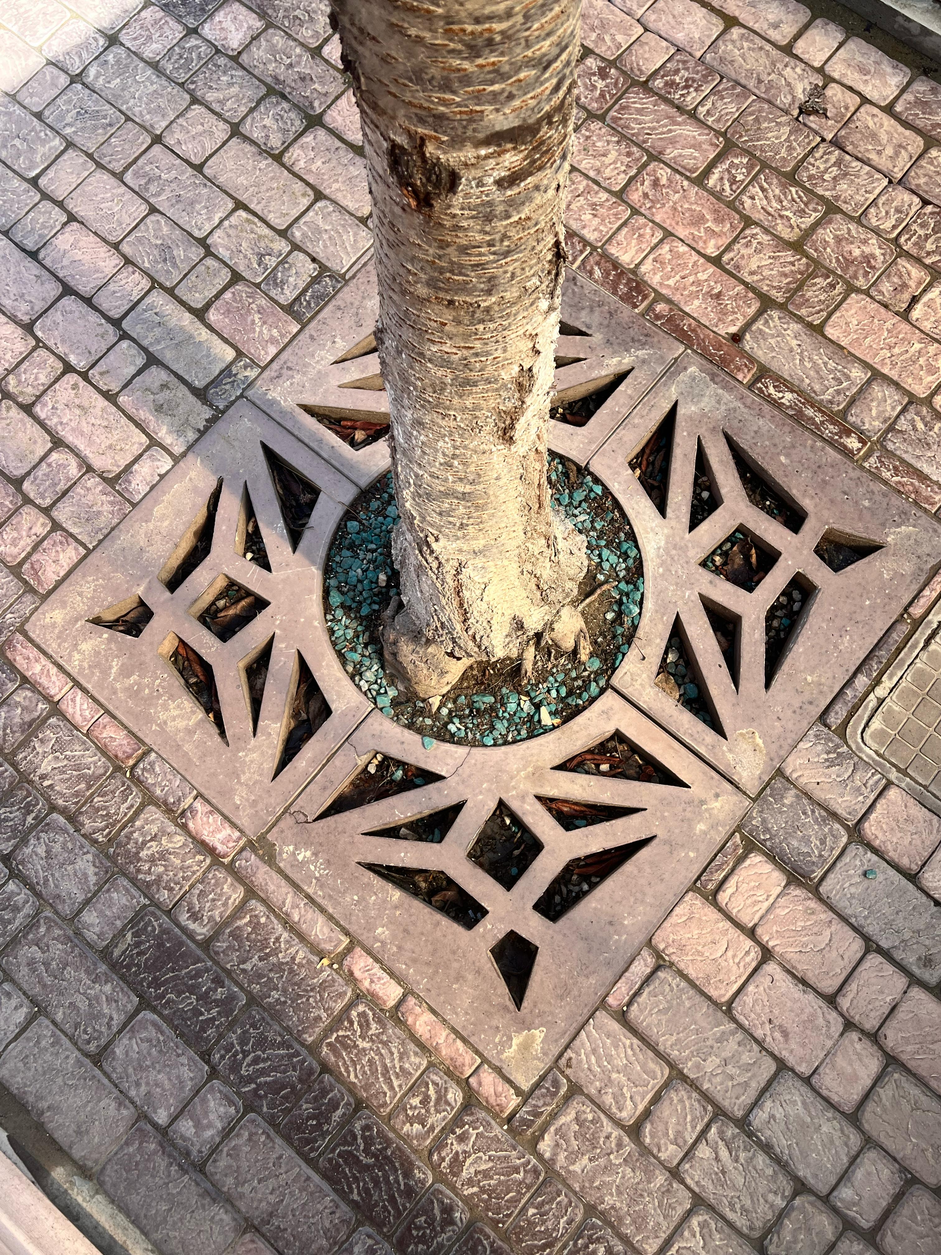 Приствольная решетка